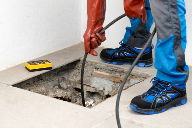istockphoto-2177956246-612x612